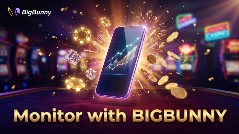 Utilize your dedicated BIGBUNNY dashboard for real-time performance insights.
